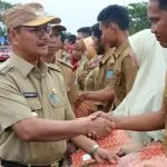 Bupati Konsel Serahkan 142 SK Tenaga Guru Honorer Bupati Konsel Serahkan 142 SK Tenaga Guru Honorer