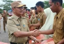 Bupati Konsel Serahkan 142 SK Tenaga Guru Honorer Bupati Konsel Serahkan 142 SK Tenaga Guru Honorer