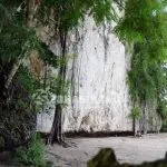 Tebing Sawapudo, Wisata Climbing Konawe yang Terabaikan Tebing Sawapudo, Wisata Climbing Konawe yang Terabaikan