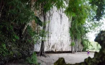 Tebing Sawapudo, Wisata Climbing Konawe yang Terabaikan Tebing Sawapudo, Wisata Climbing Konawe yang Terabaikan