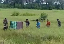 8 Warga Konsel Tersambar Petir Saat Panen Padi, 3 Tewas di Tempat