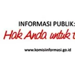 Ketika Komisi Informasi Publik di Sultra Hanya Setara dengan Honorer Komisi Informasi Publik (KIP)