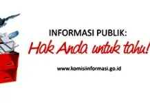 Ketika Komisi Informasi Publik di Sultra Hanya Setara dengan Honorer Komisi Informasi Publik (KIP)