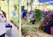 Kunjungi Petani Konsel, Ali Mazi Janji Beri Pupuk Gratis 5 Tahun Kunjungi Petani Konsel, Ali Mazi Janji Beri Pupuk Gratis 5 Tahun