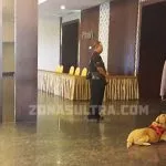 Dua Ekor Anjing Pelacak Diturunkan Jelang Debat Cagub Sultra Dua Ekor Anjing Pelacak Diturunkan Jelang Debat Cagub Sultra