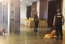 Dua Ekor Anjing Pelacak Diturunkan Jelang Debat Cagub Sultra Dua Ekor Anjing Pelacak Diturunkan Jelang Debat Cagub Sultra