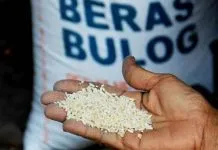 Bulog Janji Ganti Rastra Tak Layak Konsumsi di Buton Bulog Janji Ganti Rastra Tak Layak Konsumsi di Buton