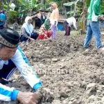 Panti Sosial Minaula Manfaatkan Lahan untuk Terapi Berkebun Lansia Panti Sosial Minaula Manfaatkan Lahan untuk Terapi Berkebun Lansia
