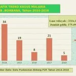 Dinkes Bombana Temukan Lima Kasus Penyakit Malaria, Ini Penyebabnya Dinkes Bombana Temukan Lima Kasus Penyakit Malaria, Ini Penyebabnya