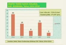 Dinkes Bombana Temukan Lima Kasus Penyakit Malaria, Ini Penyebabnya Dinkes Bombana Temukan Lima Kasus Penyakit Malaria, Ini Penyebabnya