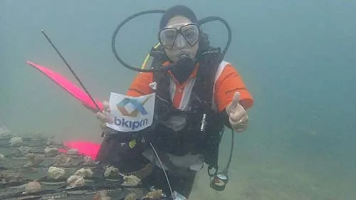 BKIPM Kendari Kembali Tanam Ribuan Karang di Pulau Bokori