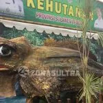 Soa-soa, Hewan yang Jadi Icon Dishut di Halo Sultra 2018 Soa-soa, Hewan yang Jadi Icon Dishut di Halo Sultra 2018