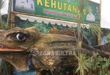 Soa-soa, Hewan yang Jadi Icon Dishut di Halo Sultra 2018 Soa-soa, Hewan yang Jadi Icon Dishut di Halo Sultra 2018