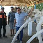 Hugua Sebut Pulau Kabaena Punya Potensi Wisata yang Menjanjikan Hugua Sebut Pulau Kabaena Punya Potensi Wisata yang Menjanjikan