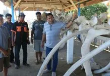 Hugua Sebut Pulau Kabaena Punya Potensi Wisata yang Menjanjikan Hugua Sebut Pulau Kabaena Punya Potensi Wisata yang Menjanjikan