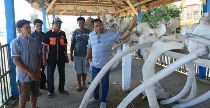 Hugua Sebut Pulau Kabaena Punya Potensi Wisata yang Menjanjikan