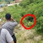 Mayat Wanita yang Ditemukan Membusuk di Morosi Dibunuh Suaminya Sendiri Lima Hari Menghilang, Wanita di Konawe Ditemukan Membusuk