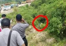 Lima Hari Menghilang, Wanita di Konawe Ditemukan Membusuk Lima Hari Menghilang, Wanita di Konawe Ditemukan Membusuk