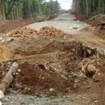 Amirul Tamim Jadi Terlapor, Polda Dalami Kasus Tambang Nikel di Baubau Amirul Tamim Jadi Terlapor, Polda Dalami Kasus Tambang Nikel di Baubau