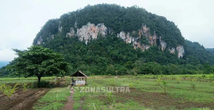 Gunung Oheo Jadi Pengembangan Wisata Khusus Pemda Konut