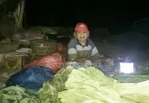 Kisah Ose, Nenek Tua Penjual Sayur yang Bekerja Siang Malam Kisah Ose, Nenek Tua Penjual Sayur yang Bekerja Siang Malam