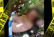 Bujang Umur 50 an Ini Tewas Ditebas Keponakannya Sendiri Bujang Umur 50 an Ini Tewas Ditebas Keponakannya Sendiri