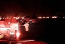 Kembali Dilalap Api, 28 Hektar Kawasan Rawa Aopa Hangus Terbakar Kembali Dilalap Api, 28 Hektar Kawasan Rawa Aopa Hangus Terbakar