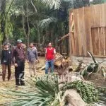 Bupati Rusman Patungan dengan SKPD Perbaiki Rumah Korban Angin Kencang Bupati Rusman Patungan dengan SKPD Perbaiki Rumah Korban Angin Kencang