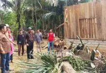 Bupati Rusman Patungan dengan SKPD Perbaiki Rumah Korban Angin Kencang Bupati Rusman Patungan dengan SKPD Perbaiki Rumah Korban Angin Kencang