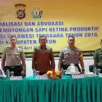 Polda Gandeng DTPP Sultra Sosilalisasi Pengendalian Pemotongan Sapi di Buton Polda Gandeng DTPP Sultra Sosilalisasi Pengendalian Pemotongan Sapi di Buton