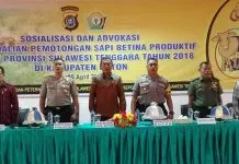 Polda Gandeng DTPP Sultra Sosilalisasi Pengendalian Pemotongan Sapi di Buton Polda Gandeng DTPP Sultra Sosilalisasi Pengendalian Pemotongan Sapi di Buton