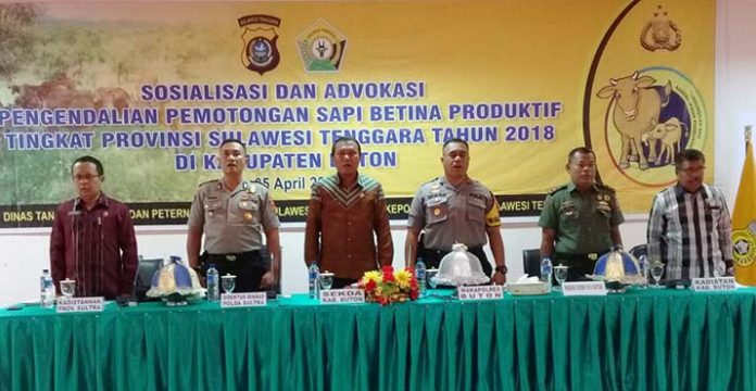 Polda Gandeng DTPP Sultra Sosilalisasi Pengendalian Pemotongan Sapi di Buton