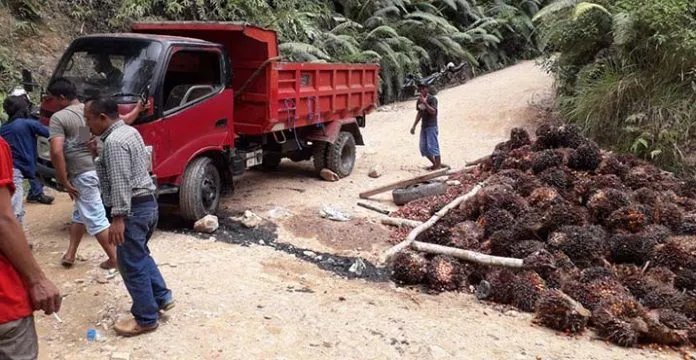 Truk Pengangkut Sawit Terguling, Buah Sawit Berhamburan di Jalan Meluhu-Lasolo