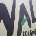 Direktur Walhi Sesalkan Isu Lingkungan Tidak Masuk Materi Debat Pilgub Wahana Lingkungan Hidup (Walhi) Sulawesi Tenggara (Sultra)