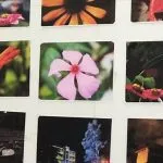 Pameran Fotografi1