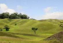 Lima Objek Wisata Alam di TNRAW yang Bisa Kamu Kunjungi Bukit Modus