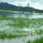 Lagi, 13 Desa di Konut Terendam Banjir Lagi, 13 Desa di Konut Terendam Banjir