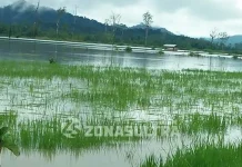Lagi, 13 Desa di Konut Terendam Banjir Lagi, 13 Desa di Konut Terendam Banjir