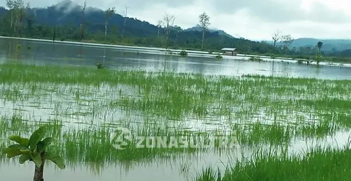 Lagi, 13 Desa di Konut Terendam Banjir