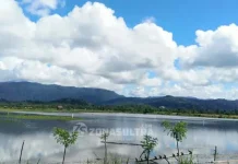 Ini Penyebab Banjir Dua Kecamatan di Konut Banjir di Konut Rendam 100 Hektar Sawah Milik 214 Petani