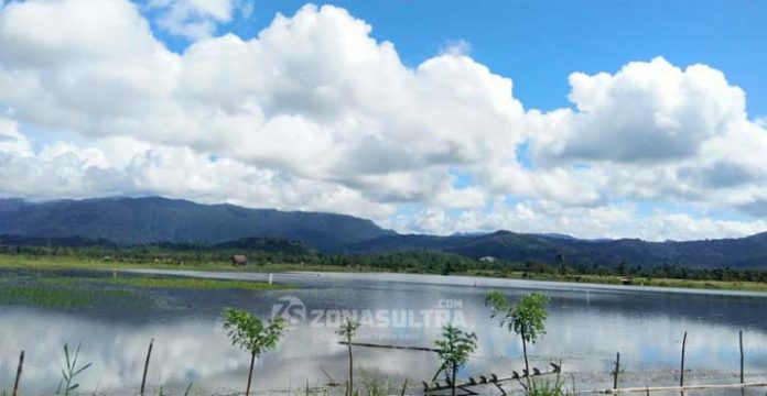 Banjir di Konut Rendam 100 Hektar Sawah Milik 214 Petani