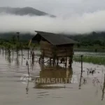 Data Sementara Lahan Pertanian Warga Konut Hancur Akibat Banjir Data Sementara Lahan Pertanian Warga Konut Hancur Akibat Banjir
