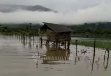 Data Sementara Lahan Pertanian Warga Konut Hancur Akibat Banjir Data Sementara Lahan Pertanian Warga Konut Hancur Akibat Banjir