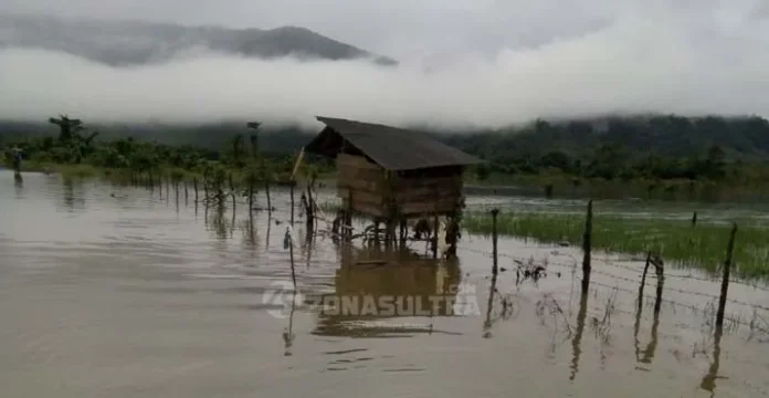Data Sementara Lahan Pertanian Warga Konut Hancur Akibat Banjir