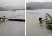 Banjir, 150 Hektar Sawah Petani di Asera Gagal Panen Banjir, 150 Hektar Sawah Petani di Asera Gagal Panen