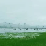 2.300 Orang Warga Oheo Konut Jadi Korban Banjir 2.300 Orang Warga Oheo Konut Jadi Korban Banjir