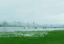 2.300 Orang Warga Oheo Konut Jadi Korban Banjir 2.300 Orang Warga Oheo Konut Jadi Korban Banjir