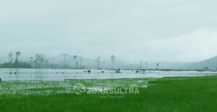 2.300 Orang Warga Oheo Konut Jadi Korban Banjir