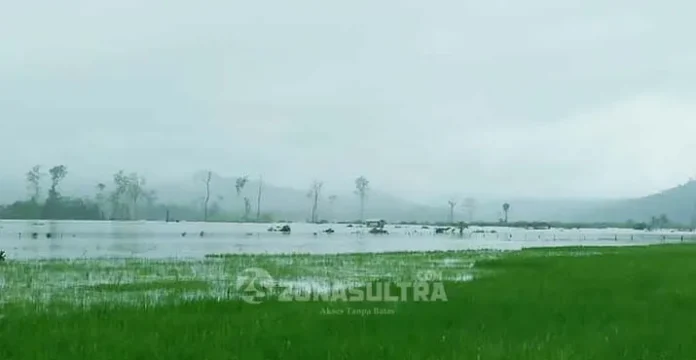 banjir_konut_oheo 2.300 Orang Warga Oheo Konut Jadi Korban Banjir