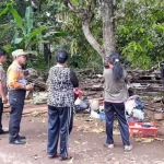 Tertimpa Pohon, Satu Rumah di Butur Rata Dengan Tanah Tertimpa Pohon, Satu Rumah di Butur Rata Dengan Tanah